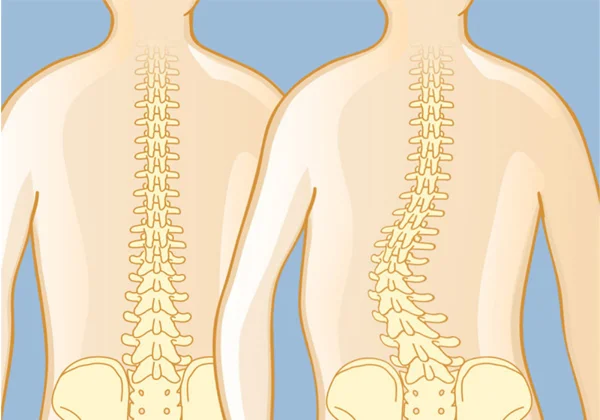 Spine and Ortho Clinic