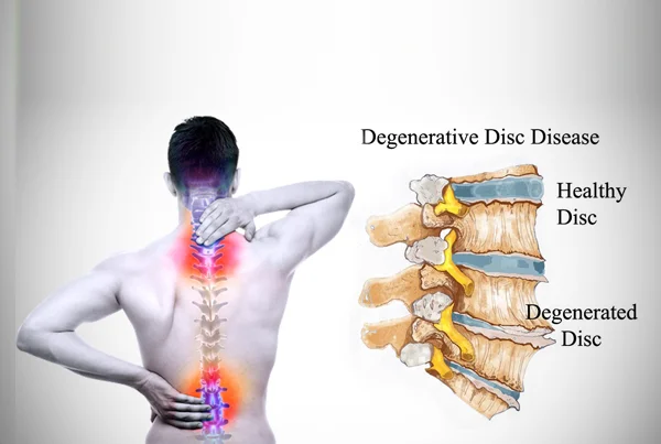 Spine and Ortho Clinic
