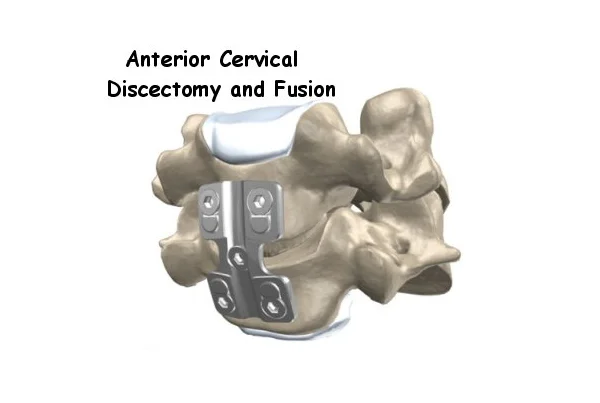 Spine and Ortho Clinic