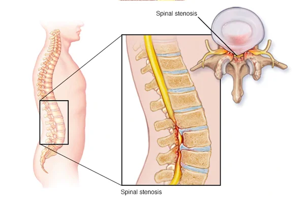 Spine and Ortho Clinic